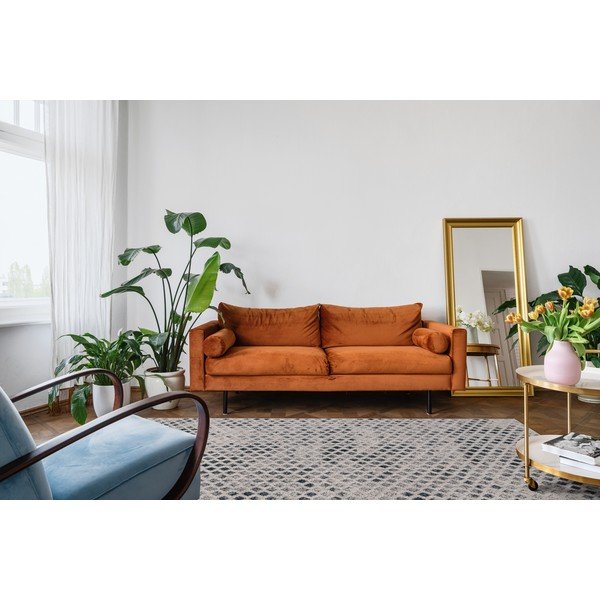 Wollteppich 200 × 300 cm Fridia - Agnella-image-2