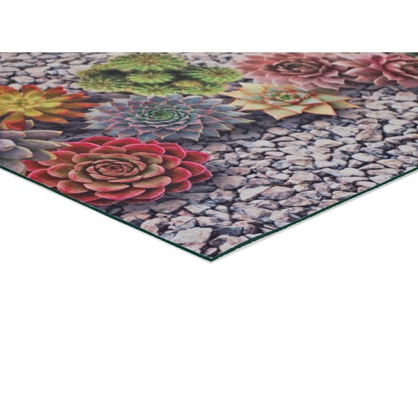 Grauer Teppich 52x100 cm Sprinty Cactus – Universal-image-2
