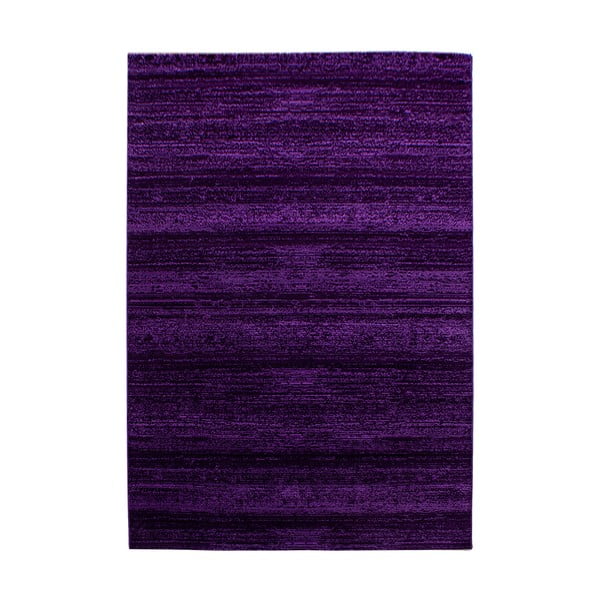 Dunkelvioletter Teppich, 120 × 170 cm Plus - Ayyildiz Carpets