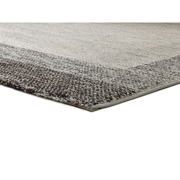 Grauer Teppich 80 x 150 cm Delta - Universal-image-2