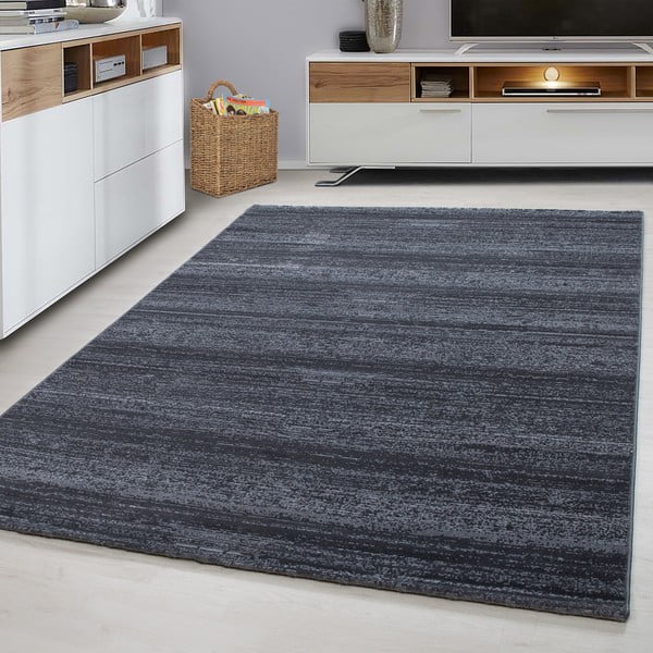 Grauer Teppich 80 × 150 cm Plus - Ayyildiz Carpets-image-1