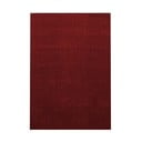 Weinroter Teppich 120 x 170 cm Ata - Ayyildiz Carpets