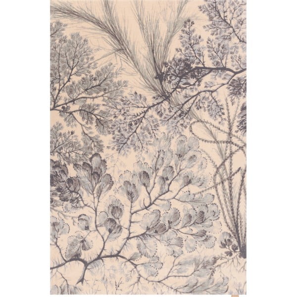 Wollteppich in den Farben Menthol und Beige, 200 x 300 cm V&A Calisia Kelp - Agnella