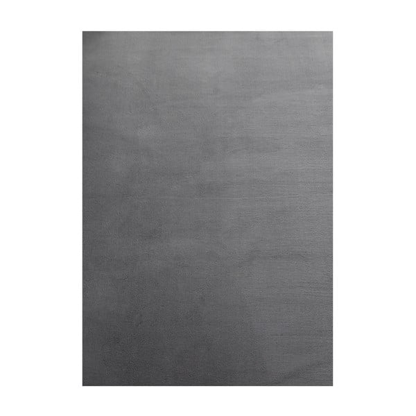 Grauer, waschbarer Teppich, 140 × 200 cm Sky - Ayyildiz Carpets