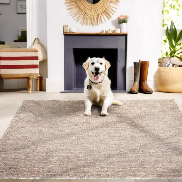 Beiger Outdoor-Teppich 120 x 170 cm Zagora - Ayyildiz Carpets-image-1