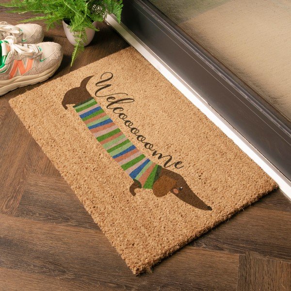 Fußmatte aus Kokosfasern, 40 x 60 cm Welcome Sausage Dog - Artsy Doormats-image-1